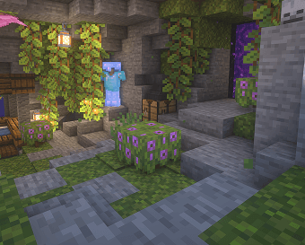 Survival server cover